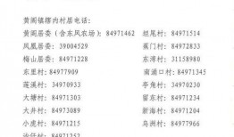新蚂蚁技能爆料怎么做视频